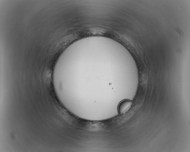 X0000114420321200911061627