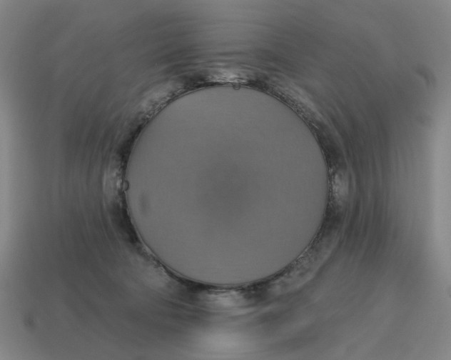 X0000114420322200911061627