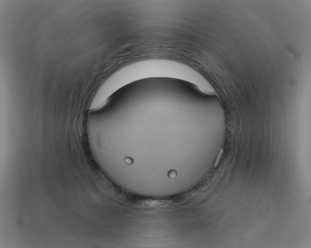 X0000114420323200911061627