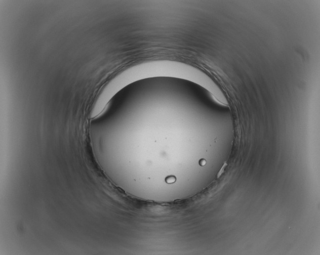 X0000114420325200911061627