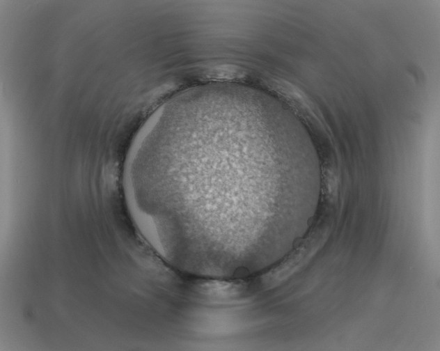 X0000114420326200911061627