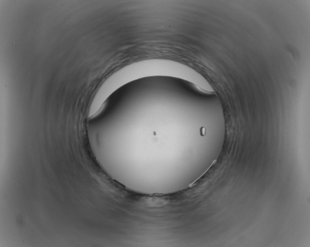 X0000114420327200911061627