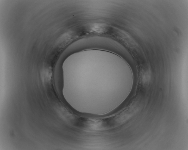 X0000114420328200911061627