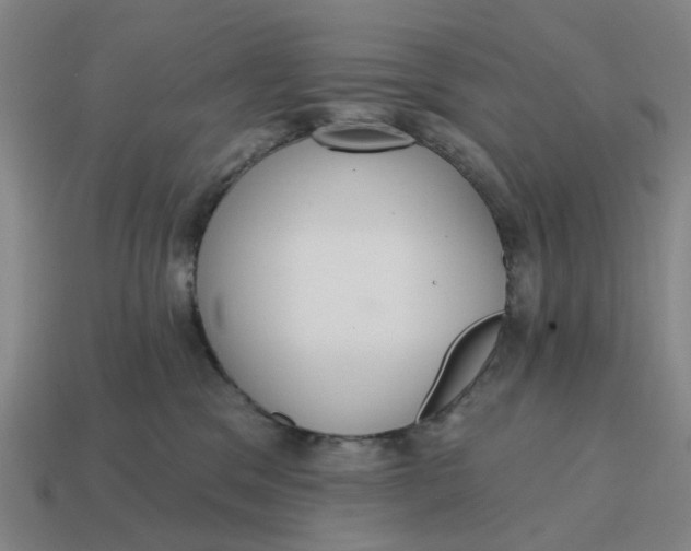 X0000114420329200911061627