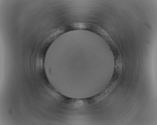 X0000114420330200911061627