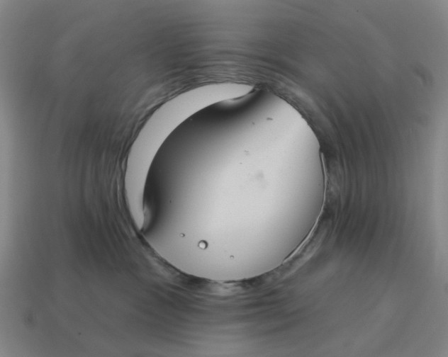 X0000114420333200911061627