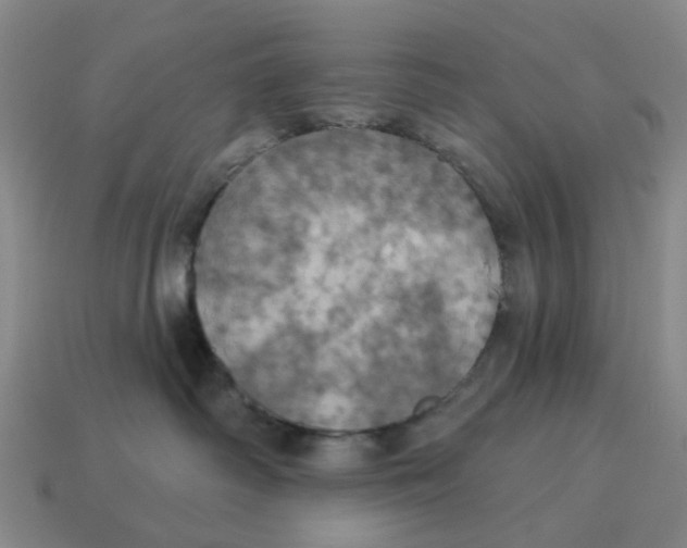 X0000114420334200911061627