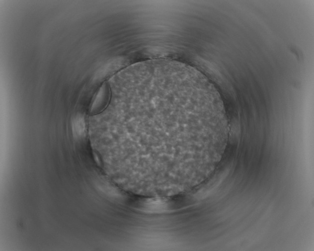 X0000114420335200911061627