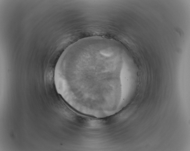 X0000114420336200911061627