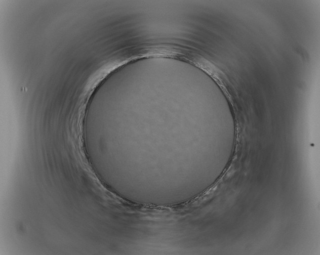 X0000114420337200911061627