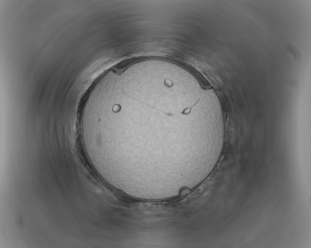 X0000114420338200911061627