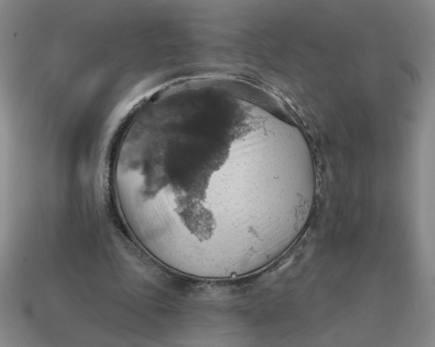X0000114420343200911061627