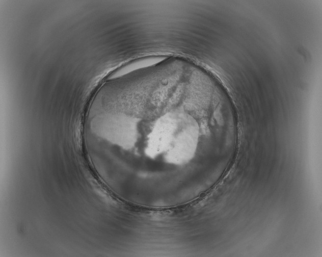 X0000114420345200911061627