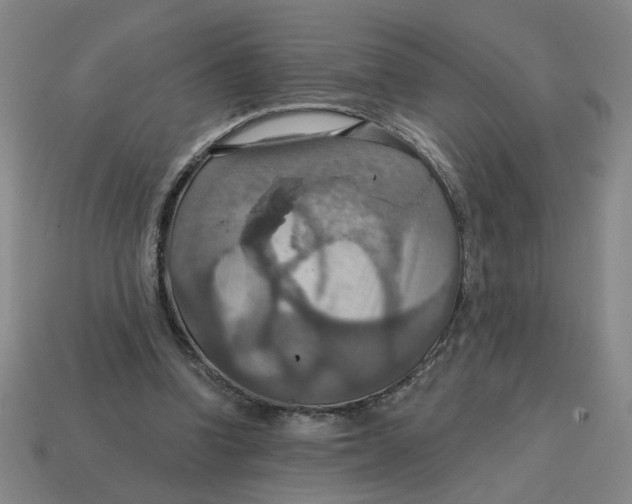 X0000114420346200911061627