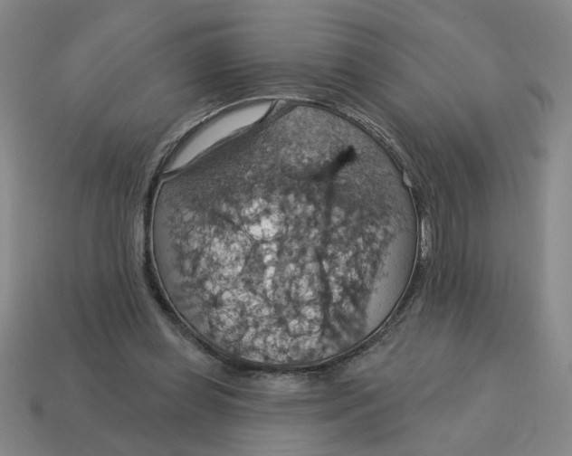 X0000114420349200911061627