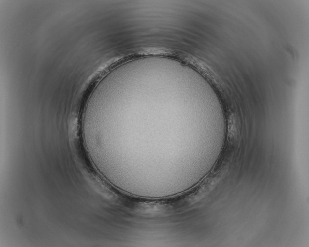 X0000114420351200911061627