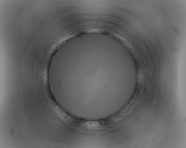 X0000114420353200911061627
