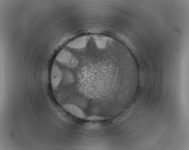 X0000114420354200911061627