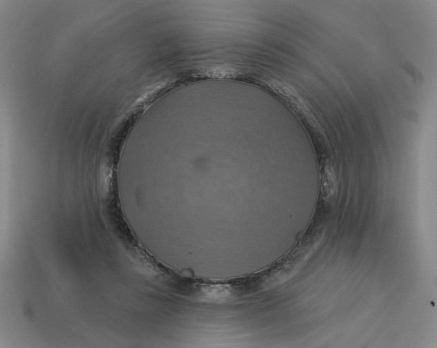 X0000114420355200911061627