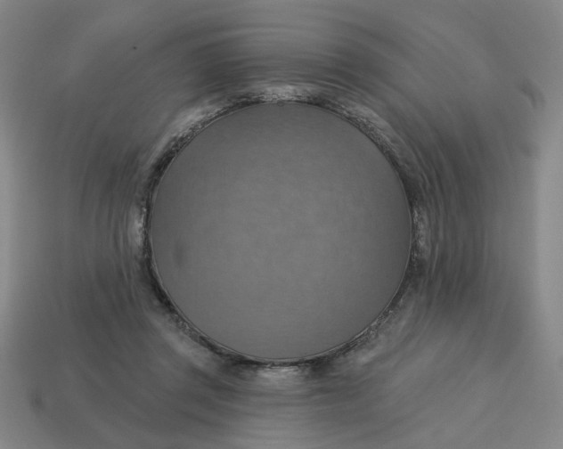 X0000114420357200911061627