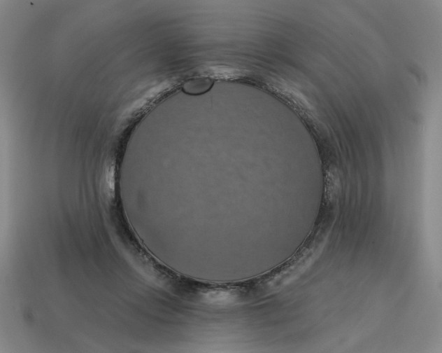 X0000114420358200911061627