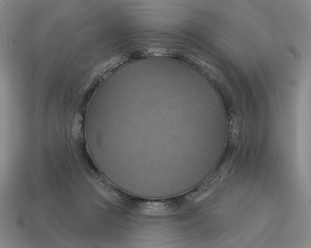 X0000114420361200911061627