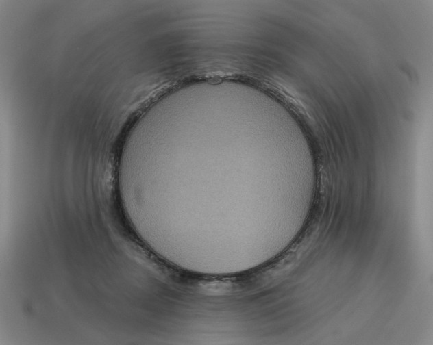 X0000114420362200911061627