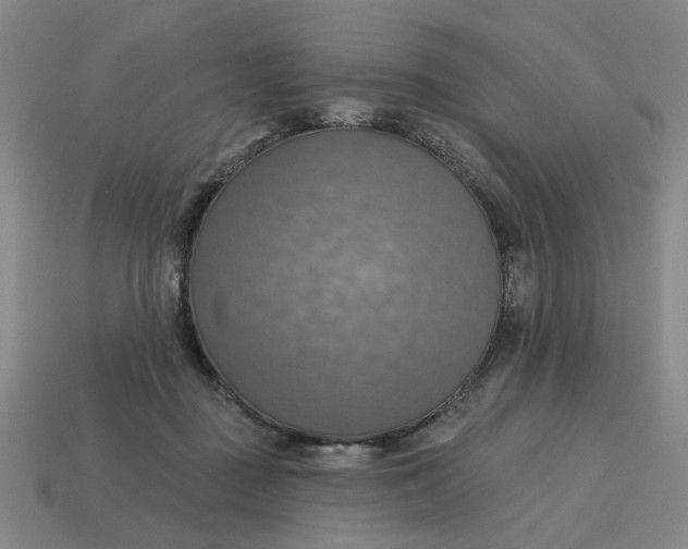 X0000114420363200911061627