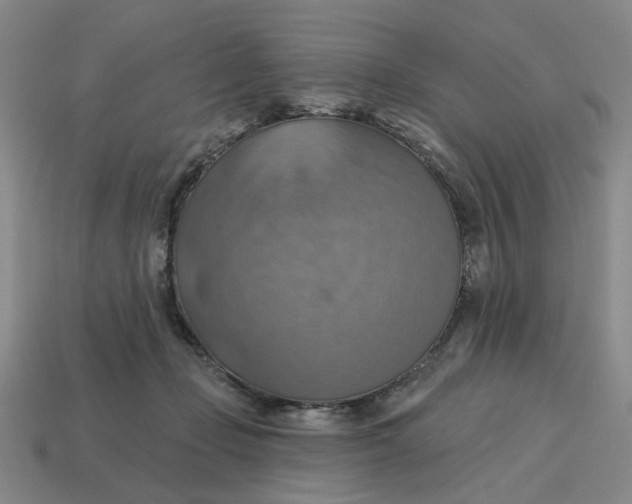 X0000114420365200911061627
