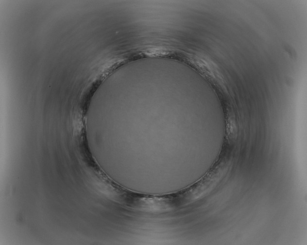 X0000114420367200911061627
