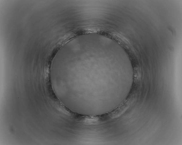 X0000114420369200911061627