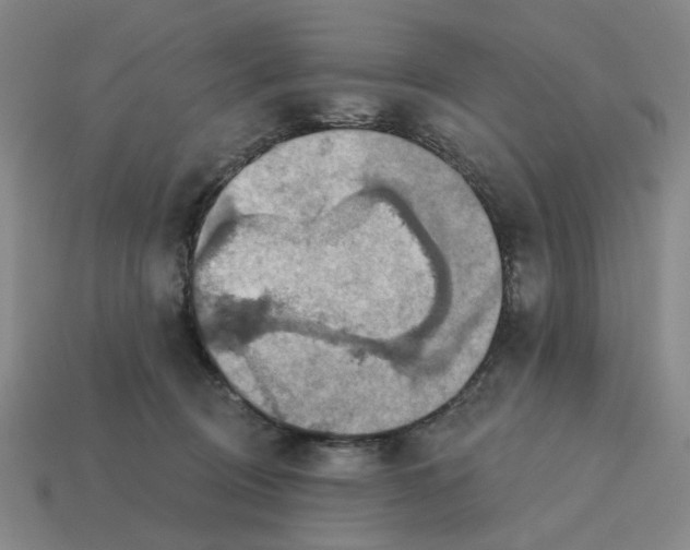 X0000114420370200911061627