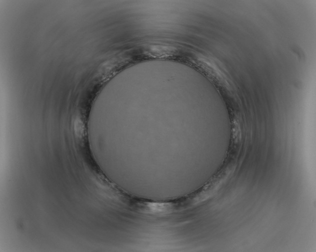 X0000114420371200911061627
