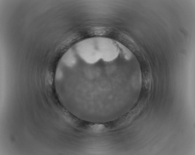 X0000114420374200911061627