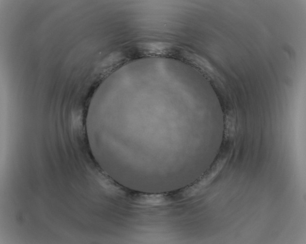X0000114420377200911061627