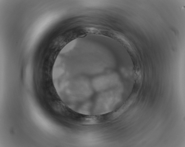 X0000114420381200911061627