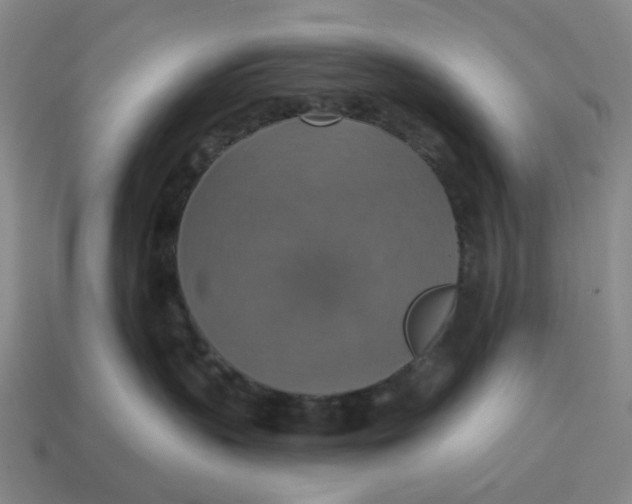 X0000114420383200911061627