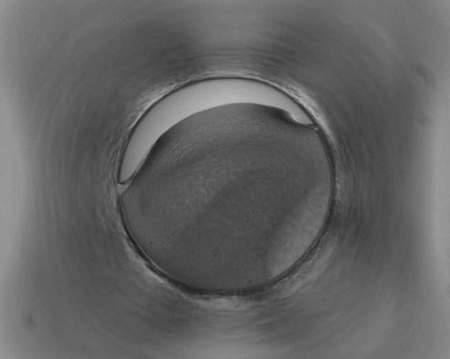 X0000114420385200911061627