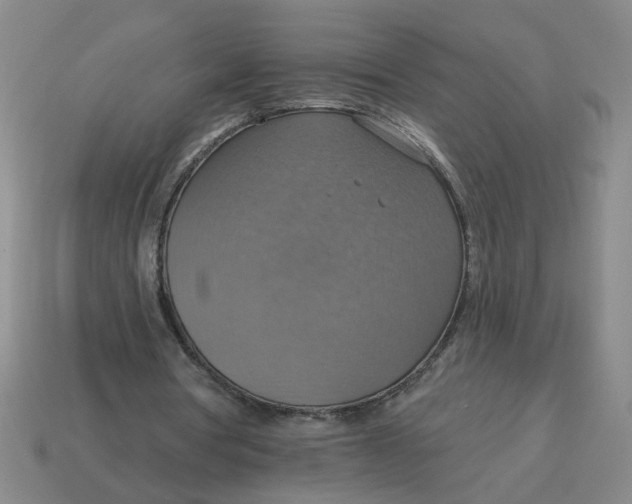 X0000114420386200911061627