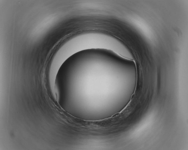 X0000114420387200911061627