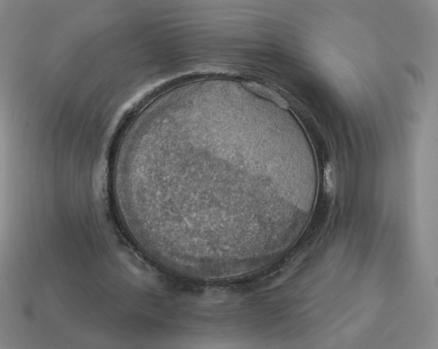 X0000114420388200911061627