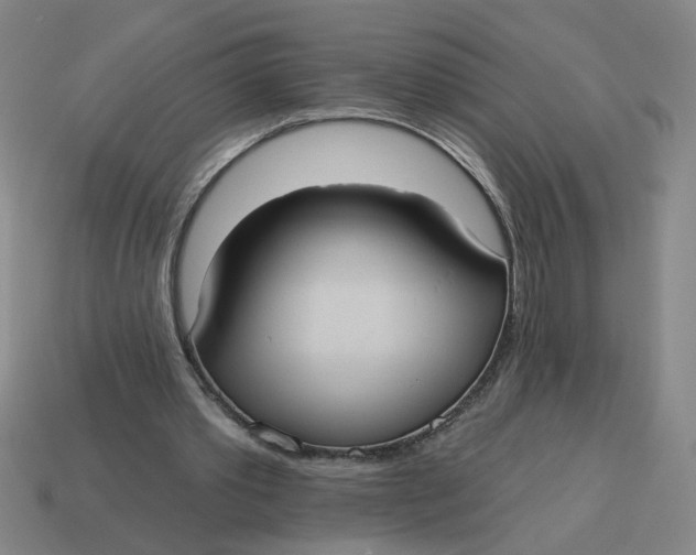 X0000114420389200911061627