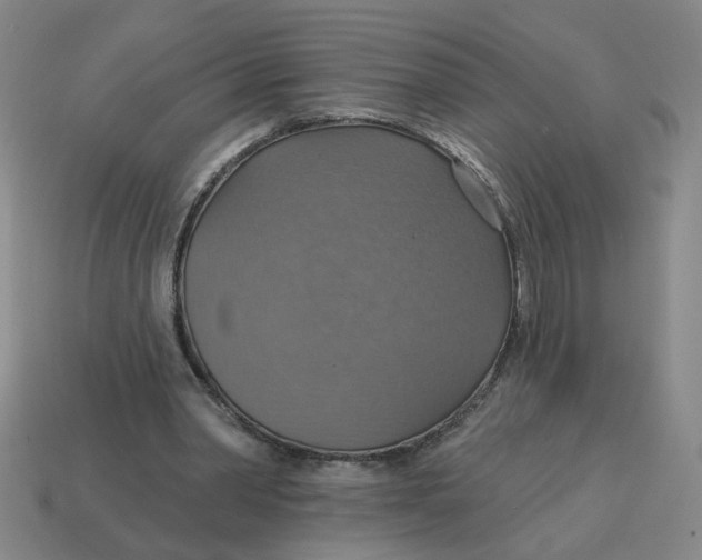 X0000114420390200911061627