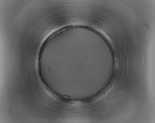 X0000114420391200911061627