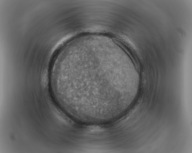 X0000114420392200911061626