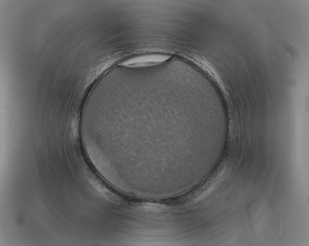 X0000114420393200911061626