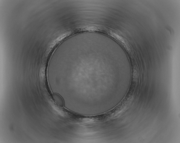 X0000114420394200911061626