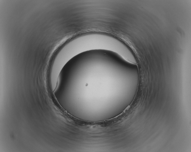 X0000114420395200911061626