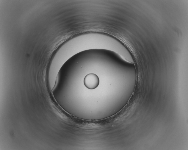 X0000114420397200911061626