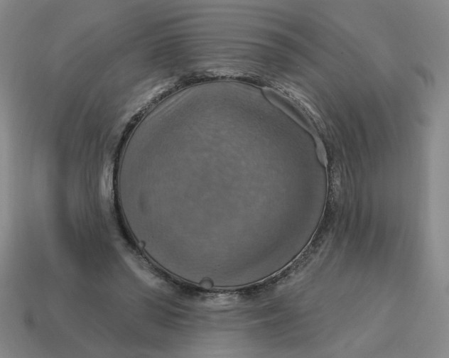X0000114420398200911061626
